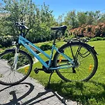 Neon Balaton, Large Botanical Garden, Bicycles, Pet&family Friendly, Outside Kitchen, Апартаменты *
