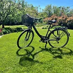 Апартаменты Neon Balaton, Large Botanical Garden, Bicycles, Pet&family Friendly, Outside Kitchen, *