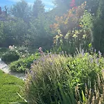 Апартаменты Neon Balaton, Large Botanical Garden, Bicycles, Pet&family Friendly, Outside Kitchen, *