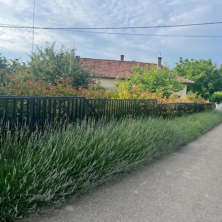 Apartament Neon Balaton, Large Botanical Garden, Bicycles, Pet&family Friendly, Outside Kitchen, *