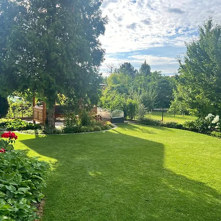 Neon Balaton, Large Botanical Garden, Bicycles, Pet&family Friendly, Outside Kitchen,