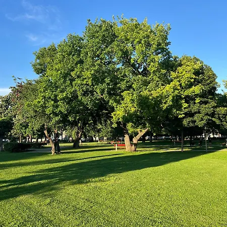 Neon Balaton, Large Botanical Garden, Bicycles, Pet&family Friendly, Outside Kitchen, * Csopak