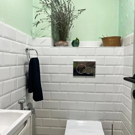 Neon Balaton, Large Botanical Garden, Bicycles, Pet&family Friendly, Outside Kitchen, Apartament