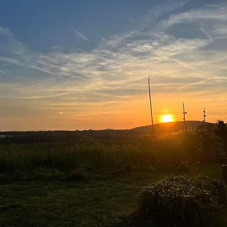 Neon Balaton, Large Botanical Garden, Bicycles, Pet&family Friendly, Outside Kitchen,