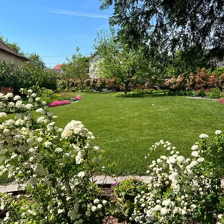 Neon Balaton, Large Botanical Garden, Bicycles, Pet&family Friendly, Outside Kitchen, *
