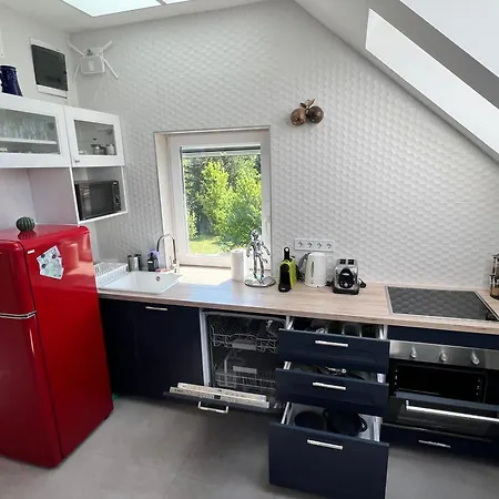 Apartamento Neon Balaton, Large Botanical Garden, Bicycles, Pet&family Friendly, Outside Kitchen,