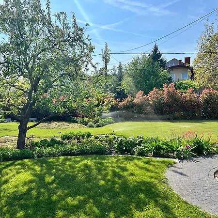 Neon Balaton, Large Botanical Garden, Bicycles, Pet&family Friendly, Outside Kitchen, Csopak