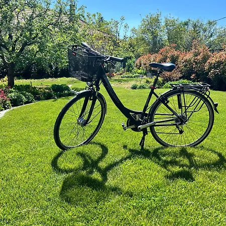 Apartamento Neon Balaton, Large Botanical Garden, Bicycles, Pet&family Friendly, Outside Kitchen, *