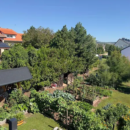 Neon Balaton, Large Botanical Garden, Bicycles, Pet&family Friendly, Outside Kitchen, Apartamento