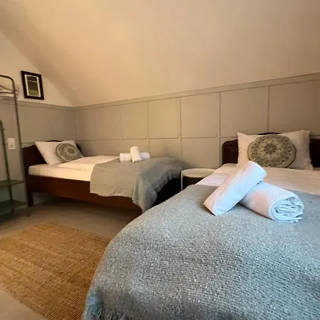 Neon Balaton, Large Botanical Garden, Bicycles, Pet&family Friendly, Outside Kitchen, Apartament Csopak