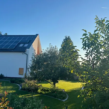 Neon Balaton, Large Botanical Garden, Bicycles, Pet&family Friendly, Outside Kitchen, Csopak