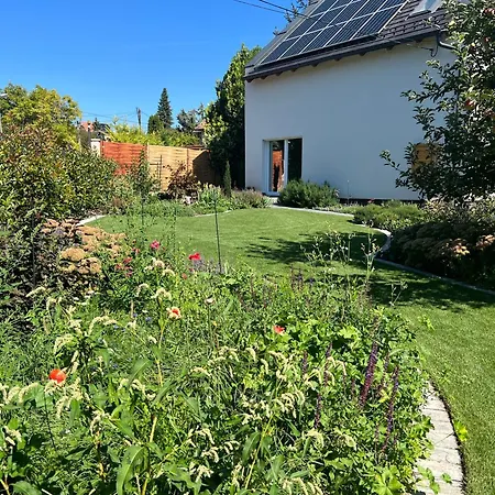 Neon Balaton, Large Botanical Garden, Bicycles, Pet&family Friendly, Outside Kitchen, Csopak