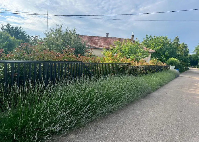 Apartment Neon Balaton, Large Botanical Garden, Bicycles, Pet&family Friendly, Outside Kitchen, *