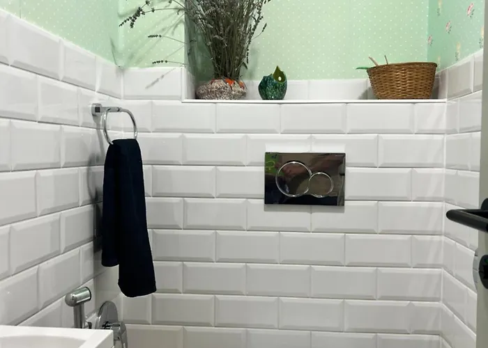 Neon Balaton, Large Botanical Garden, Bicycles, Pet&family Friendly, Outside Kitchen, Apartament