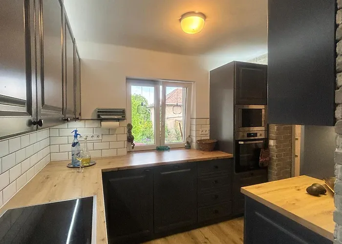 Neon Balaton, Large Botanical Garden, Bicycles, Pet&family Friendly, Outside Kitchen, Apartament *