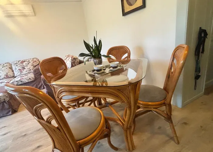 Neon Balaton, Large Botanical Garden, Bicycles, Pet&family Friendly, Outside Kitchen, Apartment