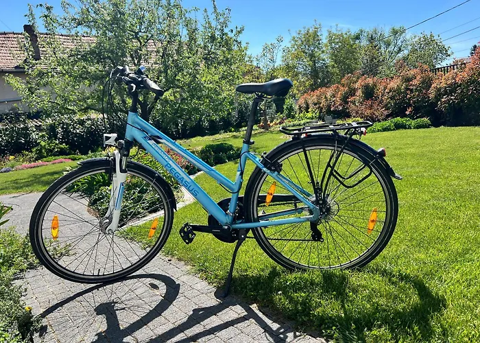 Neon Balaton, Large Botanical Garden, Bicycles, Pet&family Friendly, Outside Kitchen, Apartment *