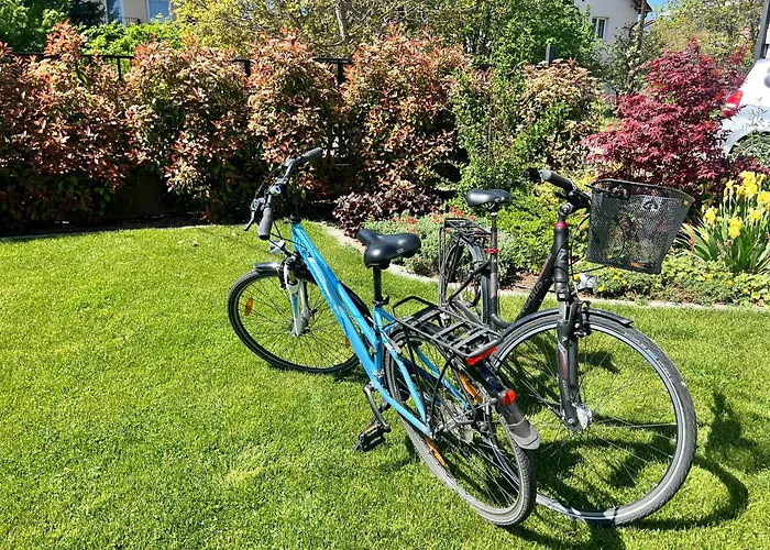 Neon Balaton, Large Botanical Garden, Bicycles, Pet&family Friendly, Outside Kitchen, * Csopak