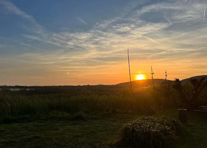 Neon Balaton, Large Botanical Garden, Bicycles, Pet&family Friendly, Outside Kitchen,