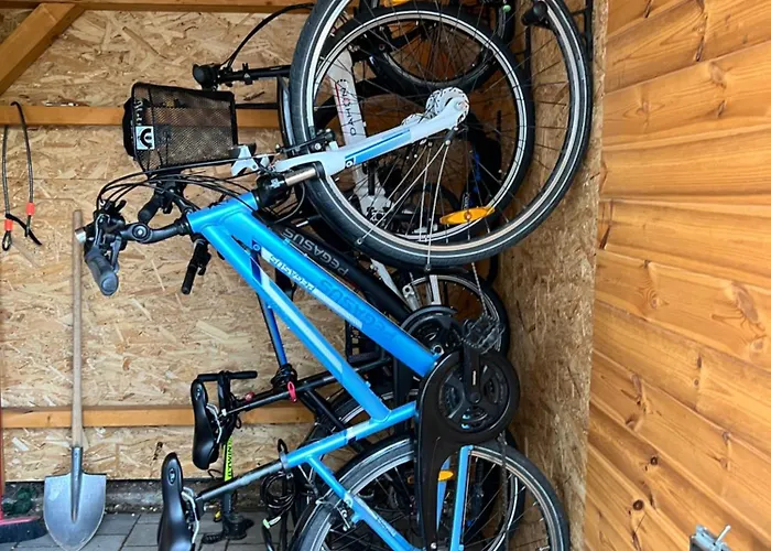 Neon Balaton, Large Botanical Garden, Bicycles, Pet&family Friendly, Outside Kitchen, Csopak