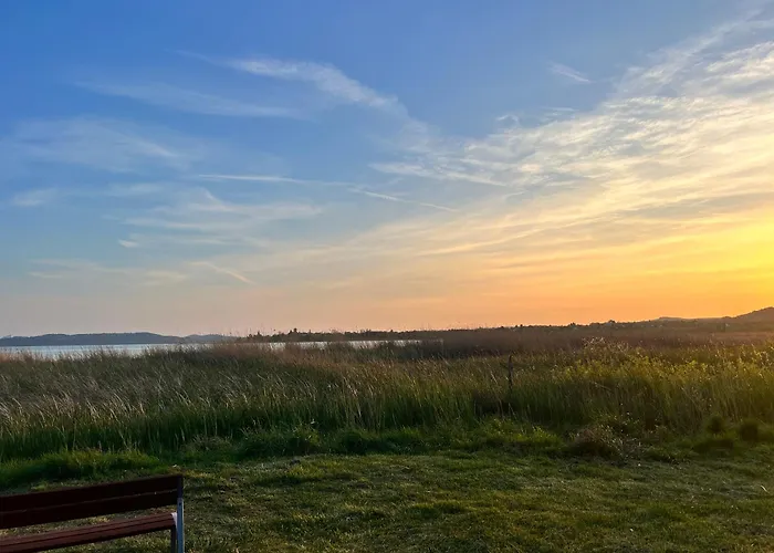 Neon Balaton, Large Botanical Garden, Bicycles, Pet&family Friendly, Outside Kitchen, Apartament