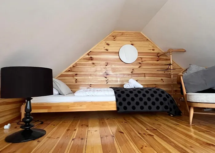 Neon Balaton, Large Botanical Garden, Bicycles, Pet&family Friendly, Outside Kitchen, Apartment *