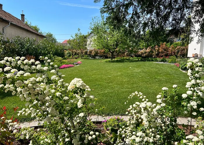 Neon Balaton, Large Botanical Garden, Bicycles, Pet&family Friendly, Outside Kitchen, *
