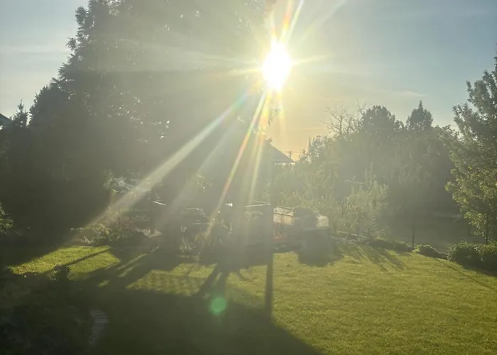 Neon Balaton, Large Botanical Garden, Bicycles, Pet&family Friendly, Outside Kitchen, Apartament