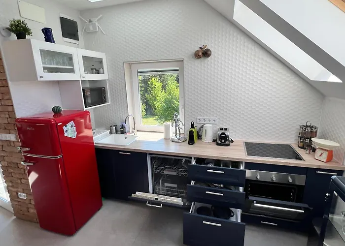 Apartment Neon Balaton, Large Botanical Garden, Bicycles, Pet&family Friendly, Outside Kitchen,
