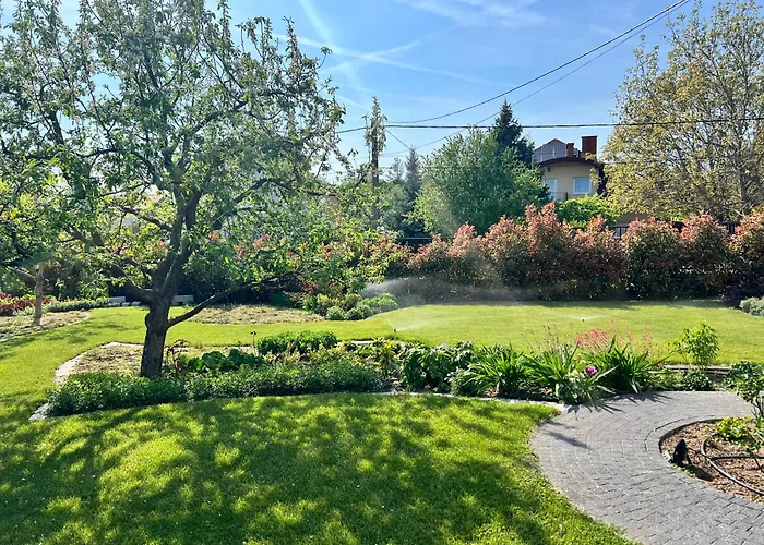 Neon Balaton, Large Botanical Garden, Bicycles, Pet&family Friendly, Outside Kitchen, Csopak