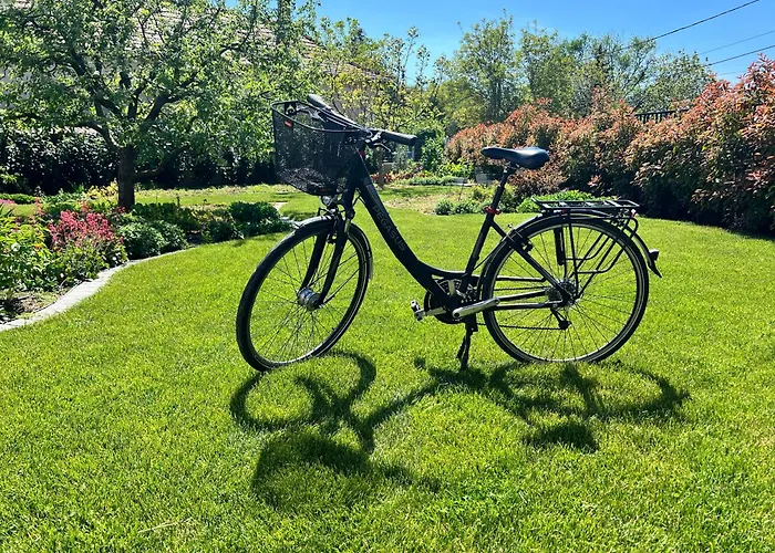 Apartment Neon Balaton, Large Botanical Garden, Bicycles, Pet&family Friendly, Outside Kitchen, *