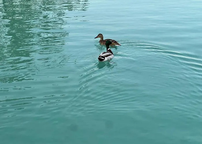 Neon Balaton, Large Botanical Garden, Bicycles, Pet&family Friendly, Outside Kitchen, * Csopak