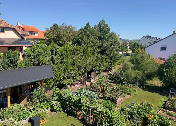 Neon Balaton, Large Botanical Garden, Bicycles, Pet&family Friendly, Outside Kitchen, Apartment
