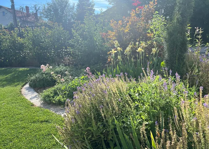 Apartament Neon Balaton, Large Botanical Garden, Bicycles, Pet&family Friendly, Outside Kitchen, *