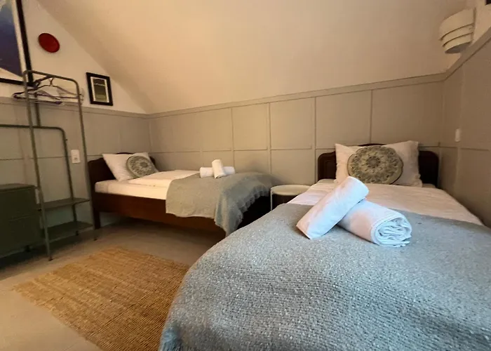 Neon Balaton, Large Botanical Garden, Bicycles, Pet&family Friendly, Outside Kitchen, Apartament Csopak