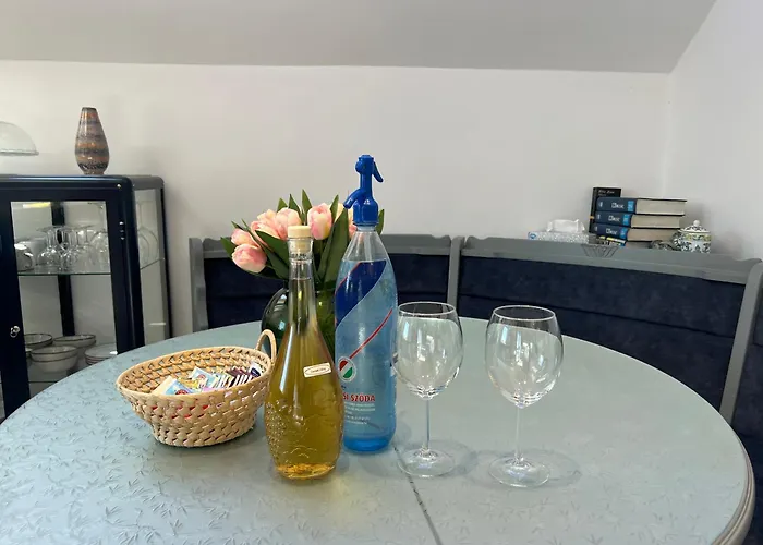 Neon Balaton, Large Botanical Garden, Bicycles, Pet&family Friendly, Outside Kitchen, *