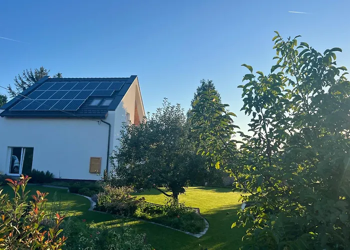 Neon Balaton, Large Botanical Garden, Bicycles, Pet&family Friendly, Outside Kitchen, Csopak