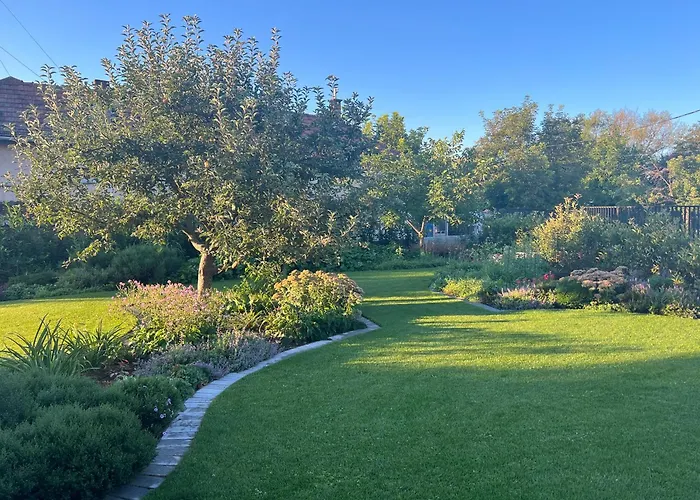 Neon Balaton, Large Botanical Garden, Bicycles, Pet&family Friendly, Outside Kitchen, * Csopak